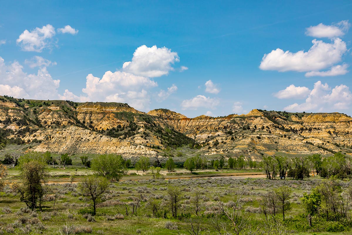 Cottonwood Campground, Theodore Roosevelt National Park | National Park Posters