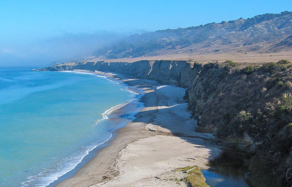 Water Canyon Beach and Torrey Pines | Channel Islands National Park