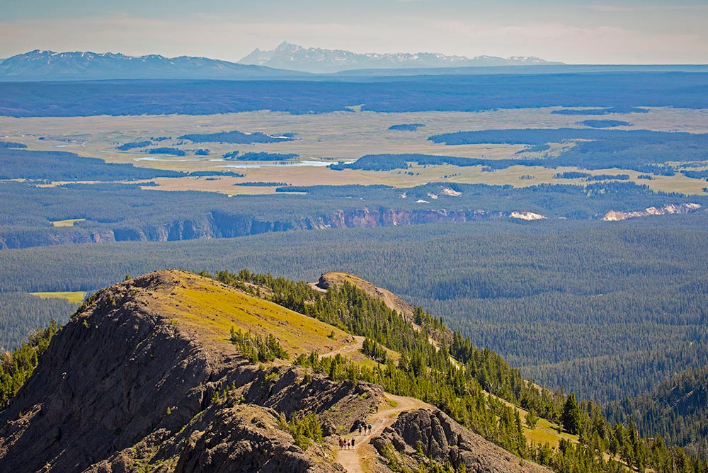 Mount Washburn, Yellowstone National Park | National Park Posters