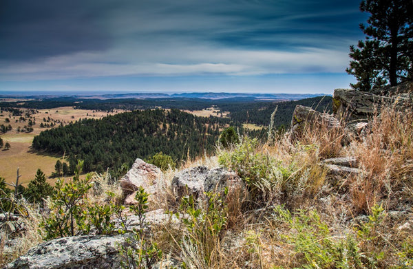 Wind Cave National Park | National Park Posters