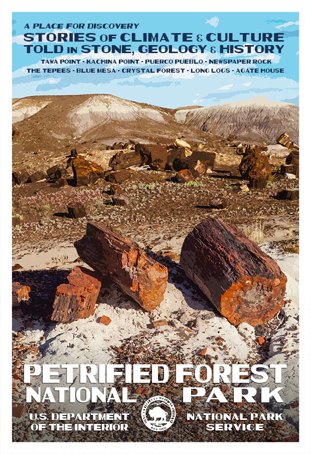 petrified forest national park