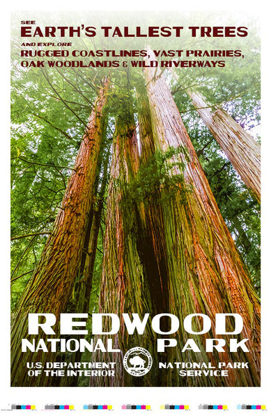 Redwood Forest Poster | Vintage-Style U.S. National Park Posters