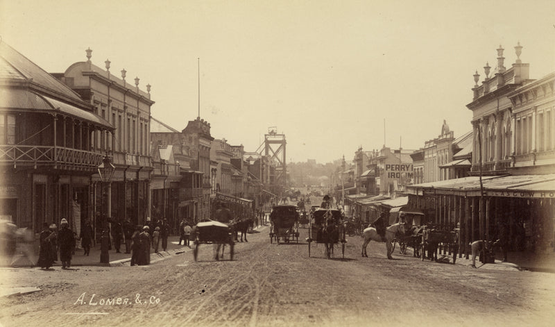 Looking down Queen Street from the Albert Street intersection Brisbane, 1884