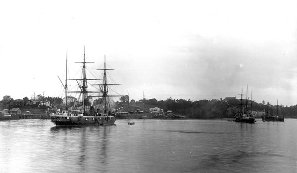 Ships on the Brisbane River near the Thornton Street Ferry Stop, Brisbane, 1895