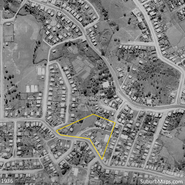 1936 Aerial Photo of Dyne Estate