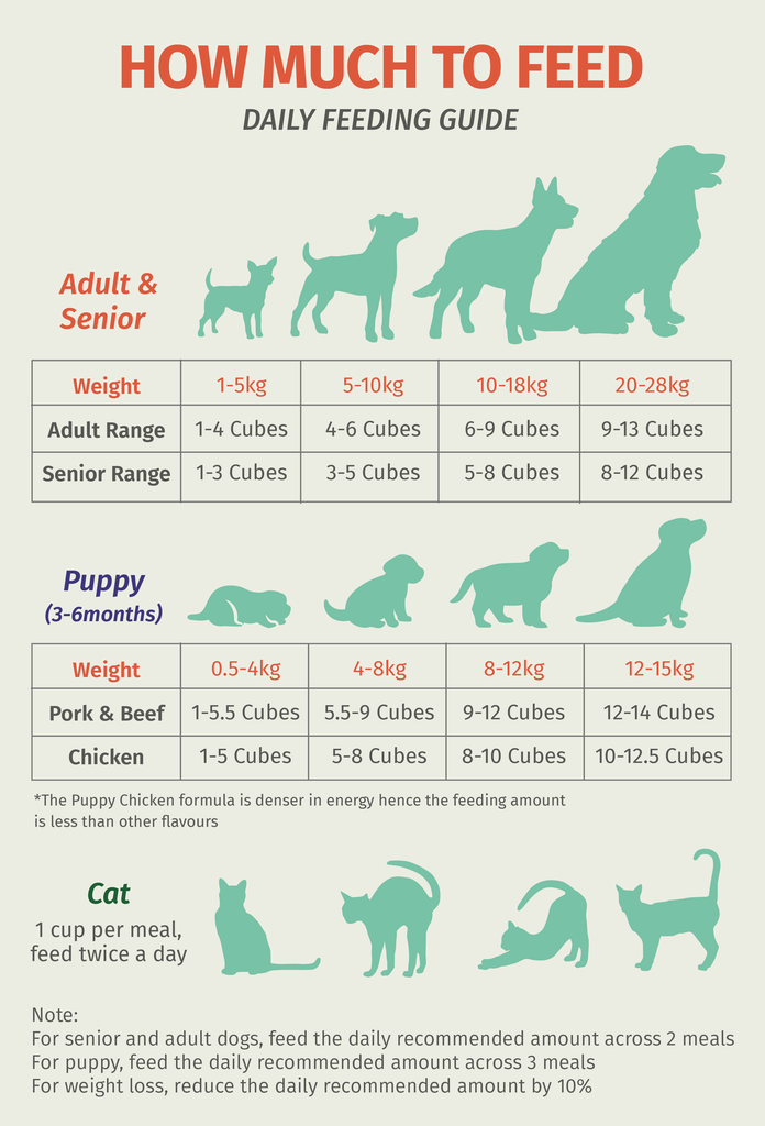 PetCubes Feeding Guide | Switching Pet Food