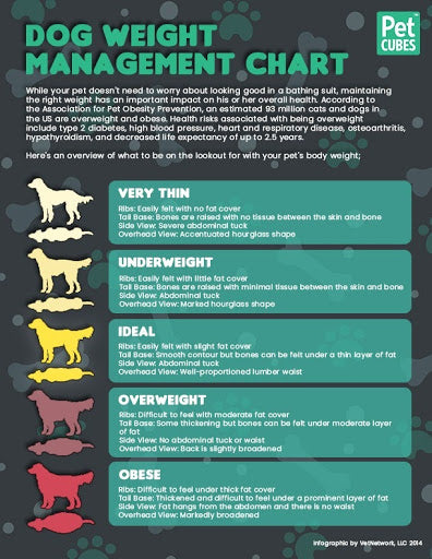 dog weight chart is commonly known to veterinarians, dog experts and dog owners