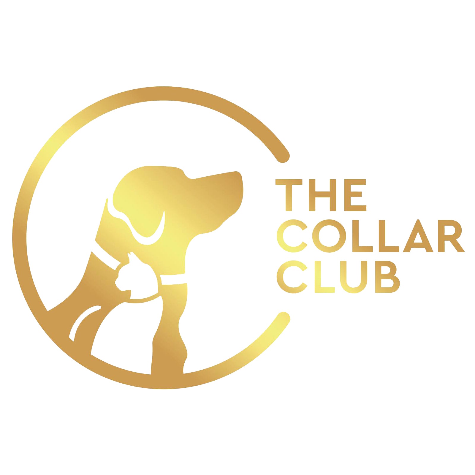 the_collar_club_square_480x480