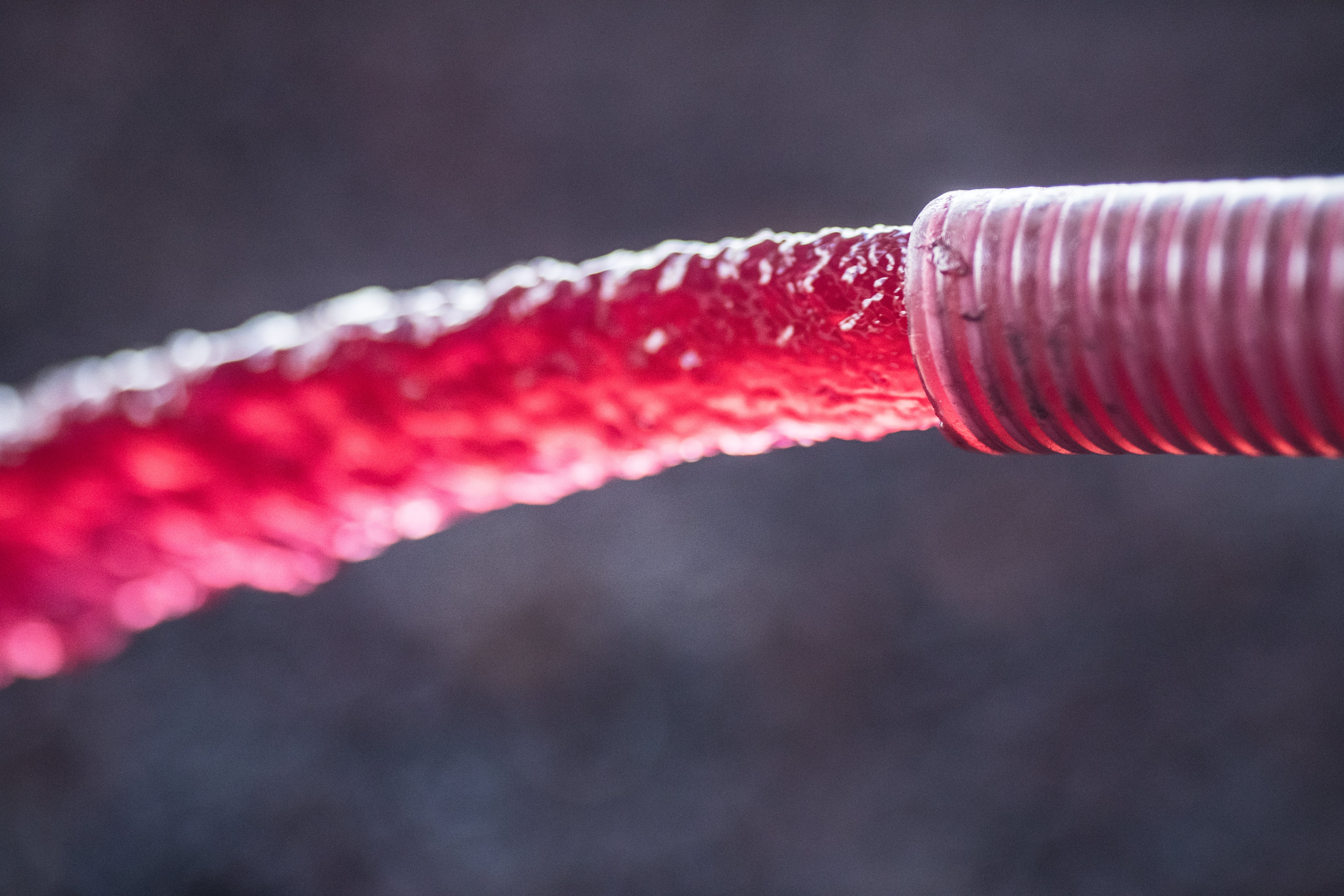 Red wine during ferment