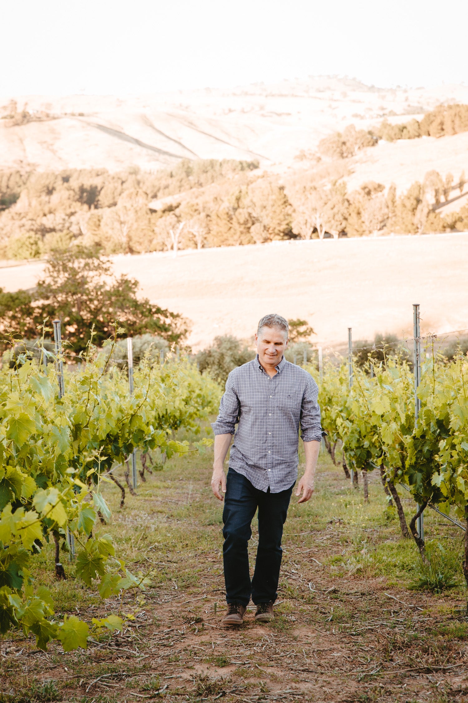 Winemaker Alex McKay walks the rows of a vineyard in the Canberra District wine region.