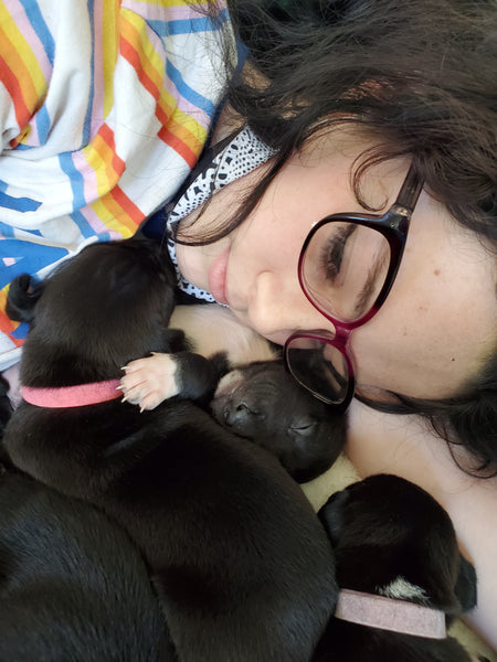 closeup on woman laying with foster puppies