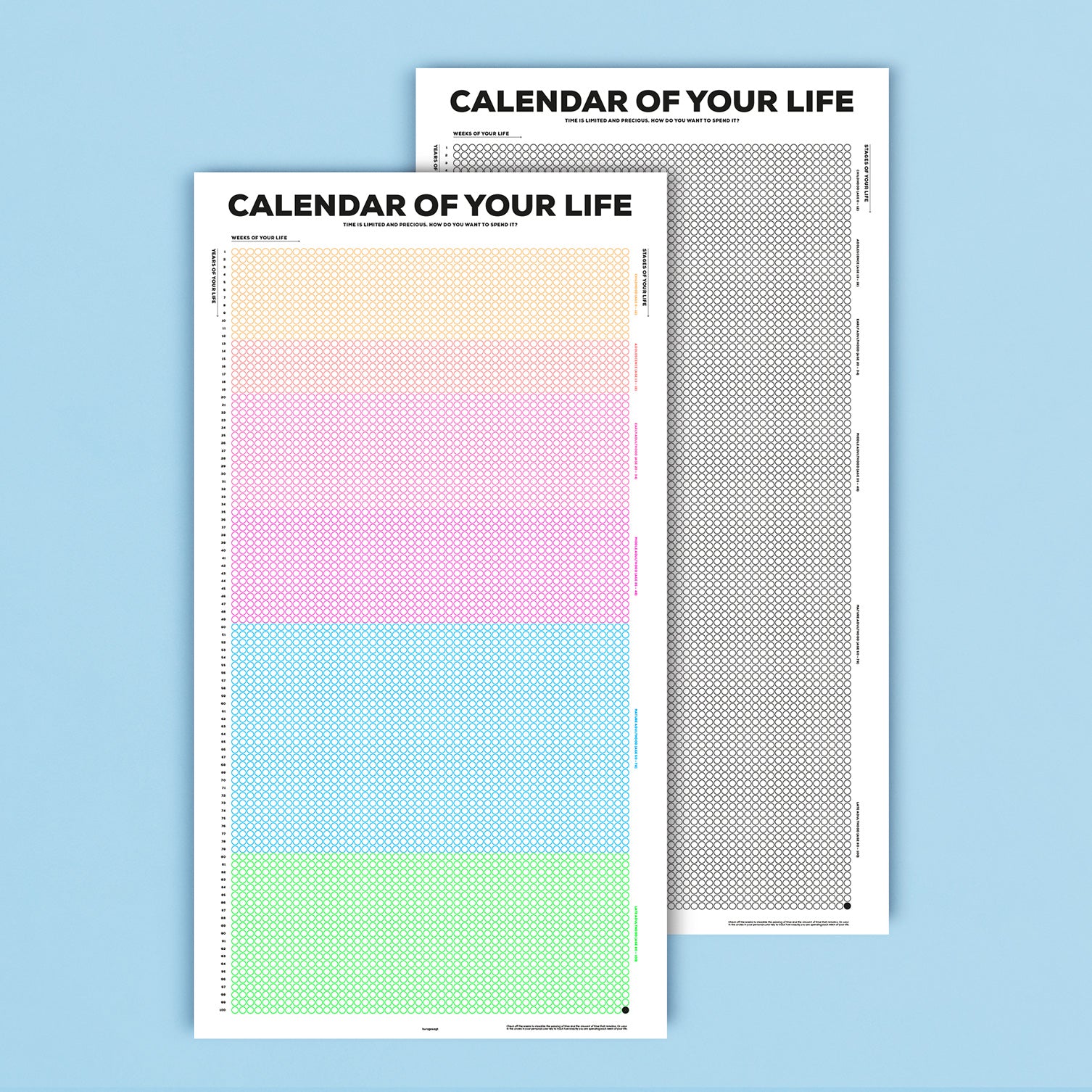 Calendar of Your Life Infographic Poster (B&W) the kurzgesagt shop