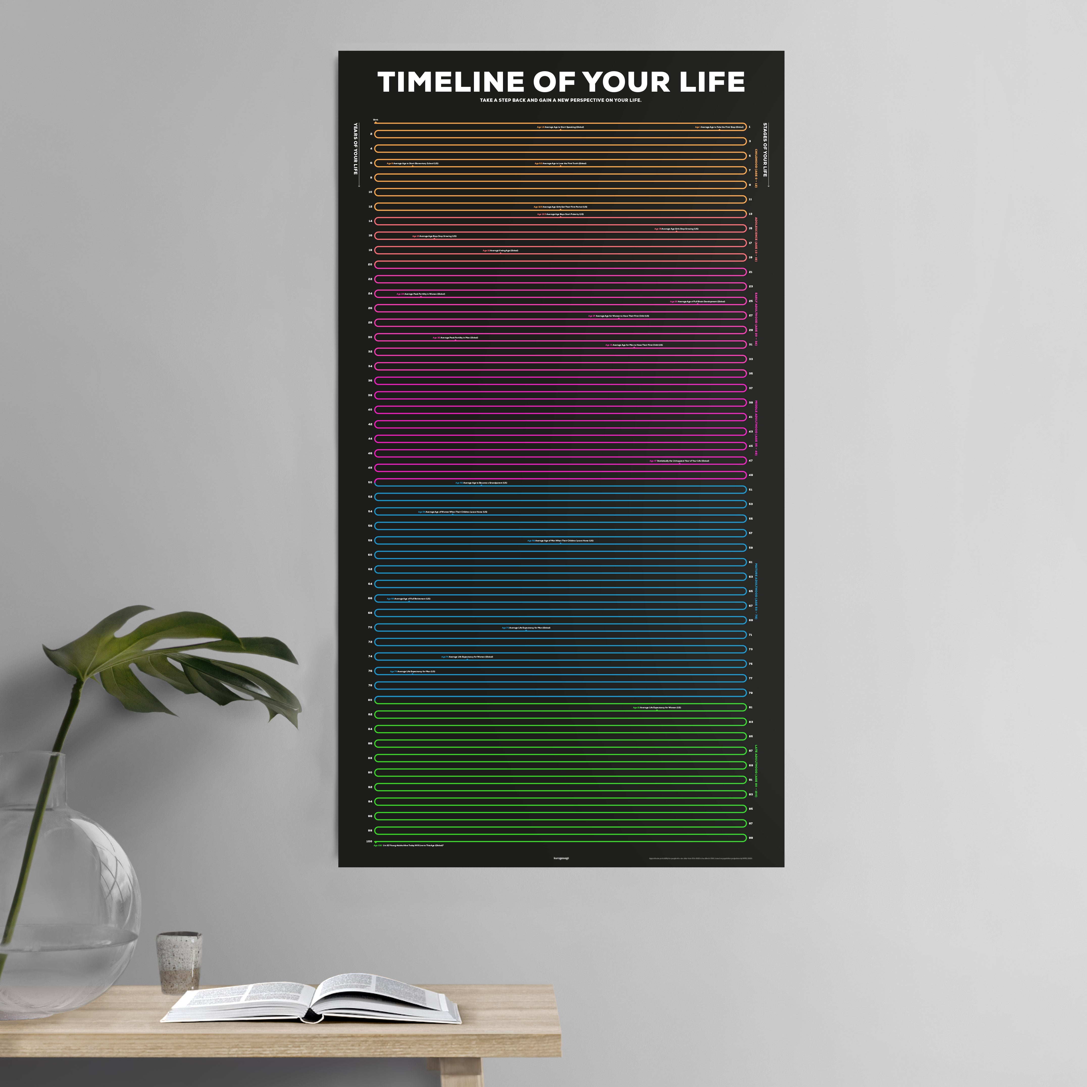 Timeline of Your Life Infographic Poster in a nutshellkurzgesagt