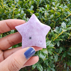 Lepidolite star held in front of a bush