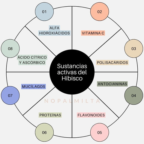 sustancias activas del hibisco para la piel Nopalmilta