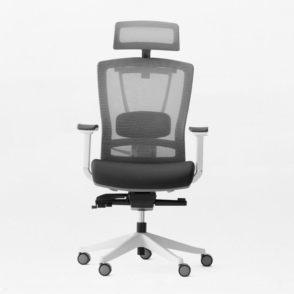 the ergo chair