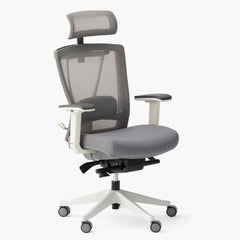 Autonomous ErgoChair Pro - EverGreen | Smart Live Now | Reviews on