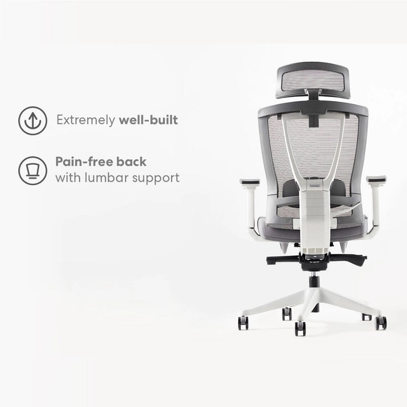 ergo chair pro