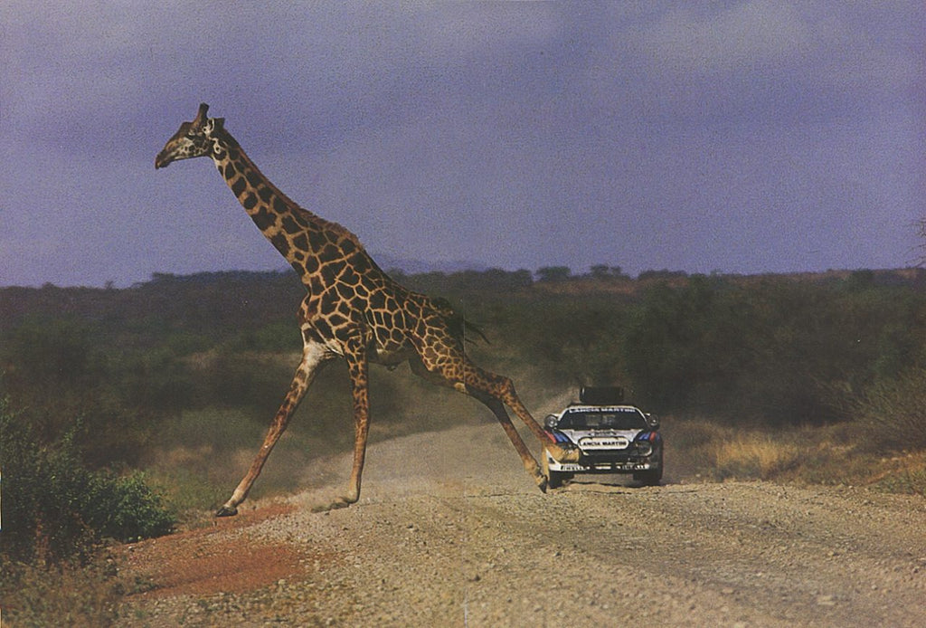 Warm up - Rallye safari - Lancia 037 - Stradale