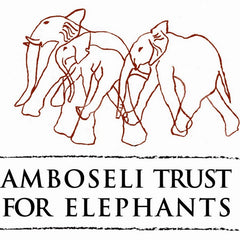 The Amboseli Trust for Elephants 