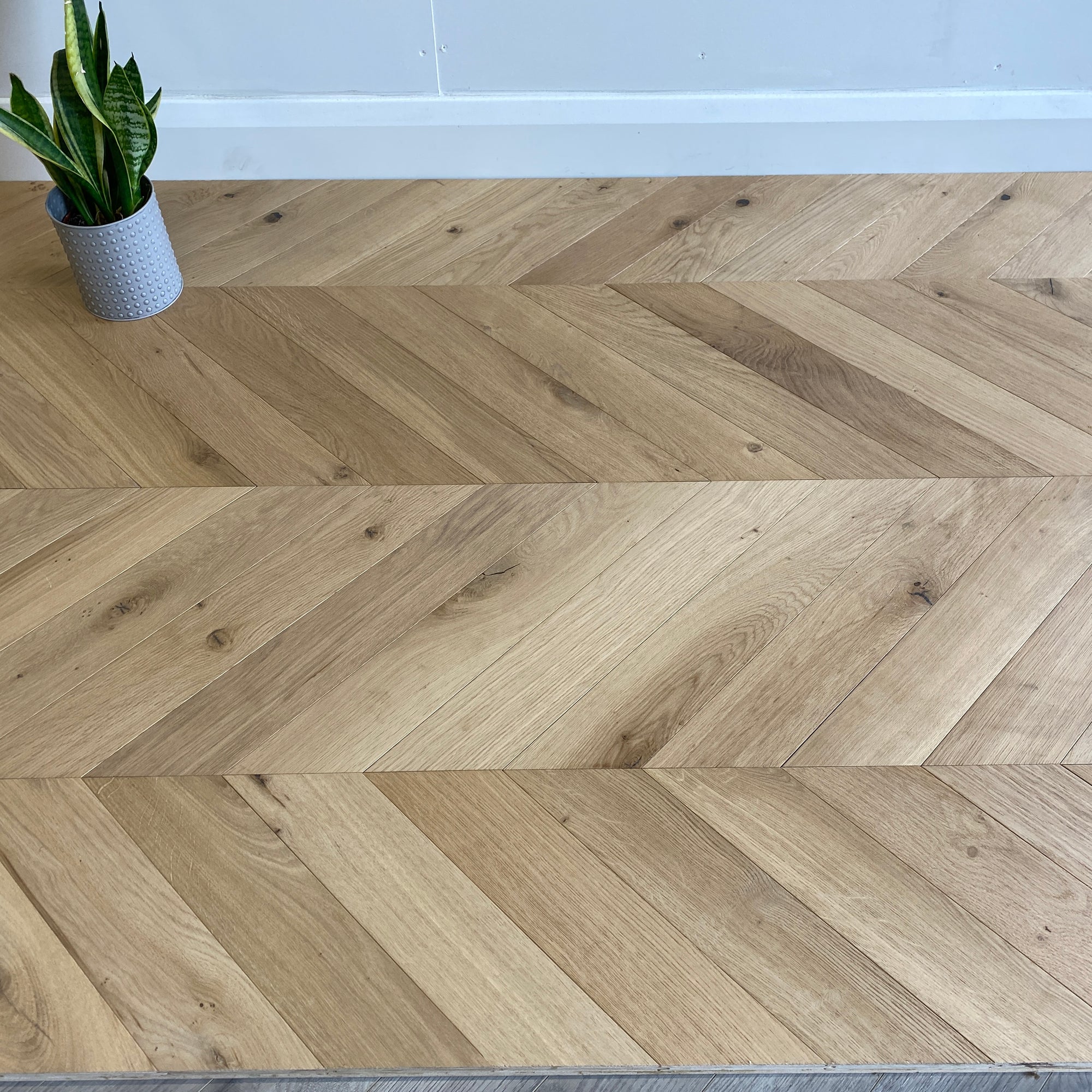 93 Best Wood floor warehouse ireland Trend 2020