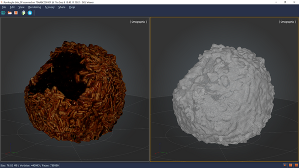 SOL 3D scanning of a rum ball cake with dark surface