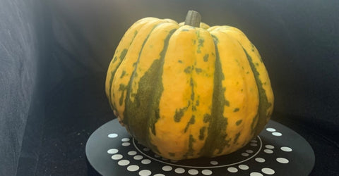 Fast turbo hobby 3D scanning a pumpkin