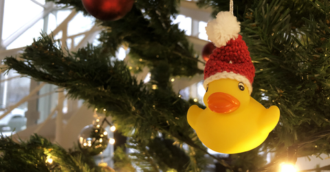 Christmas duck on tree