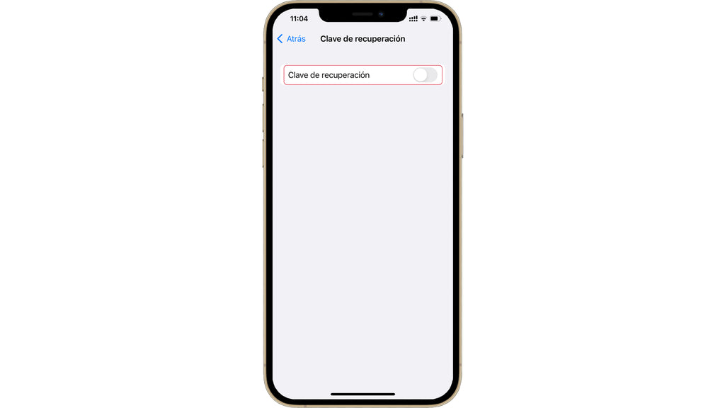 ¿Perdiste la contraseña de tu Apple ID? Genera una clave de recuperación en tu iPhone o iPad - 5