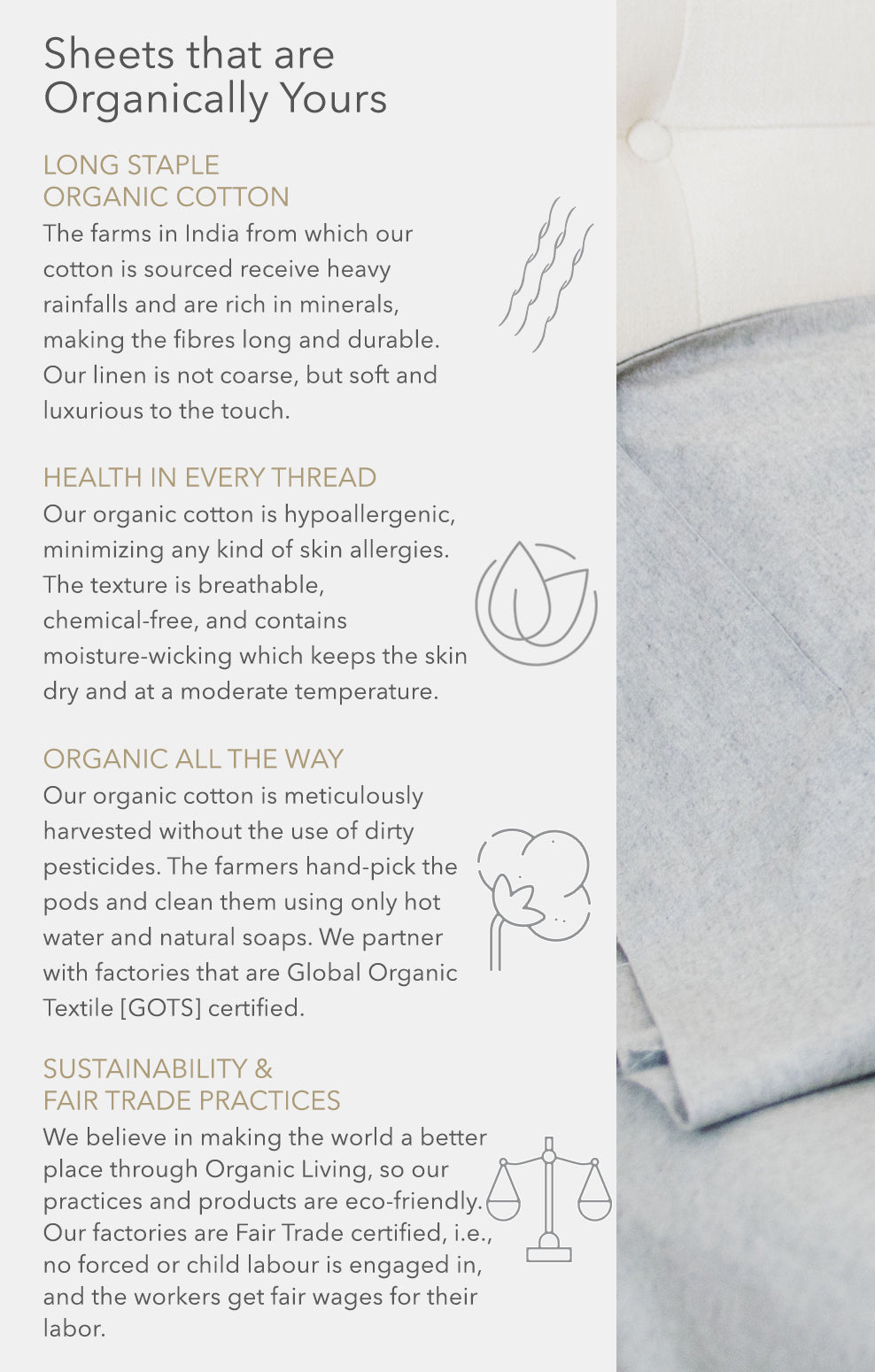 Organic Flannel Sheets