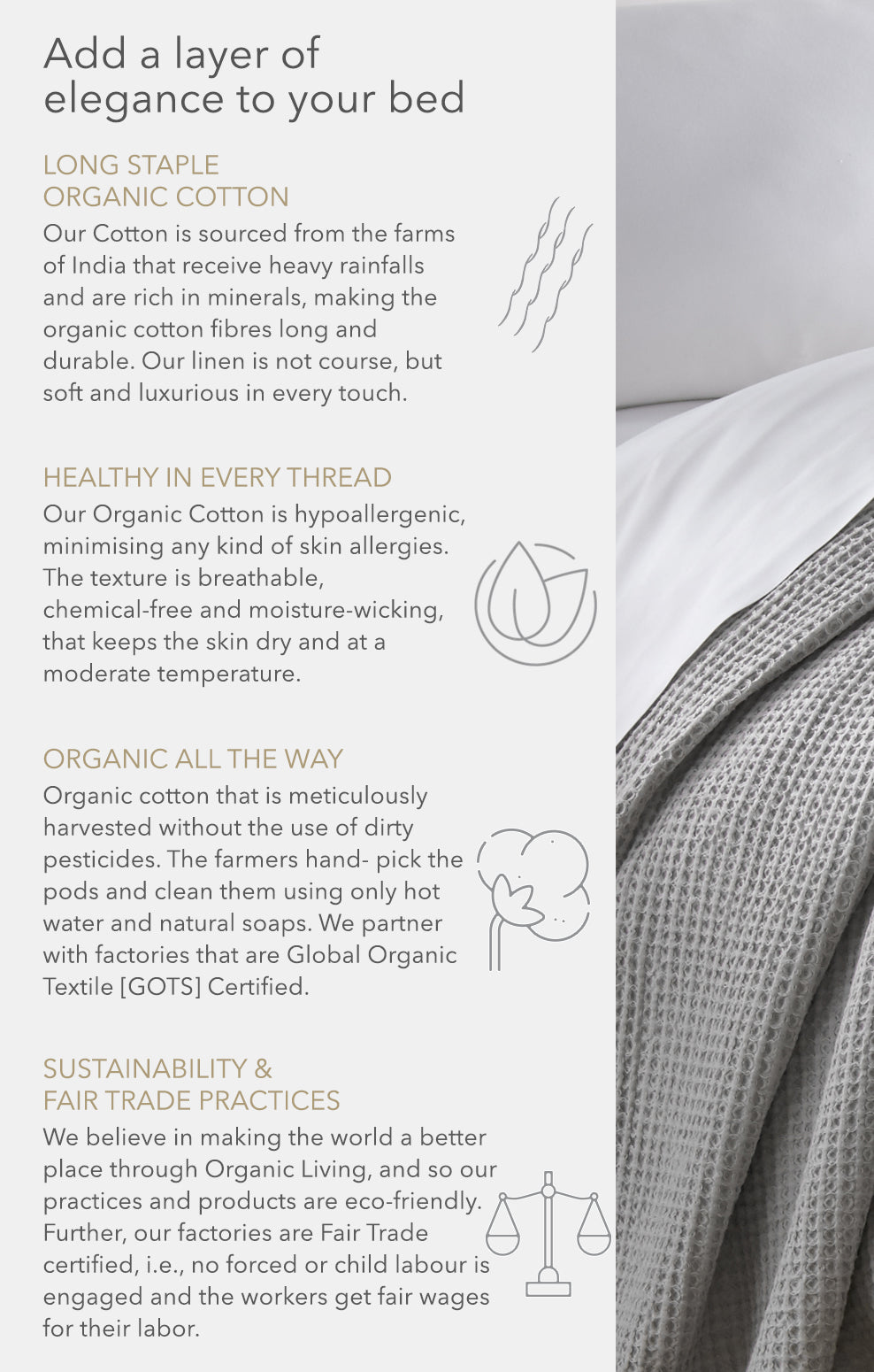 Organic Cotton Blankets