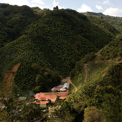 Birds Eye view over the COOCAFE cooperative in Costa Rica