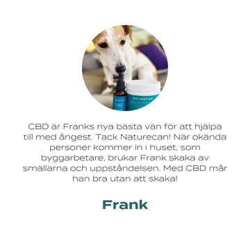 frank hund recension 