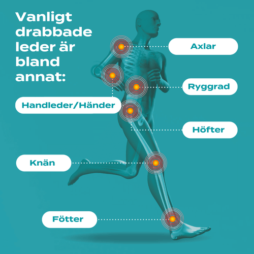 vanligen drabbade leder