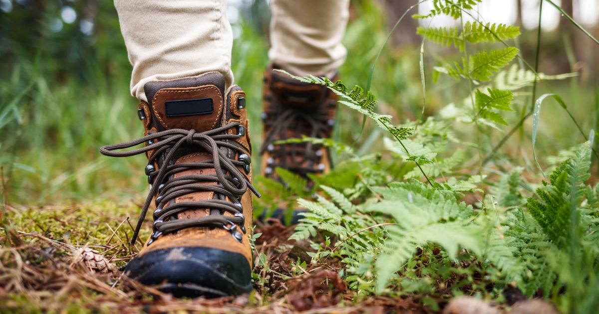 forest-floor-hiking-boots