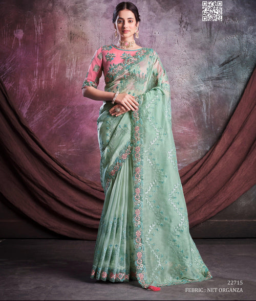 Afternoon Party Wear Stylish Sari