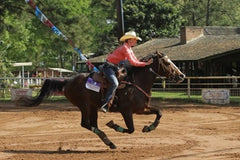 Total Saddle Fit Western Cinch