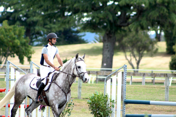 Silver crown Bridle