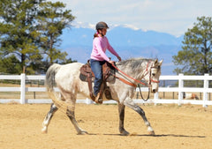 Total Saddle Fit Cinch