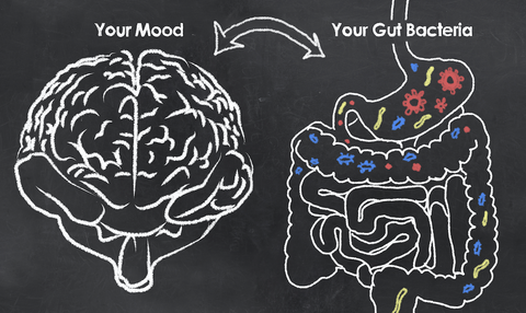 Understanding connection between gut and brain