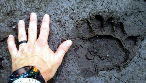 A hand next to its handprint in concrete.