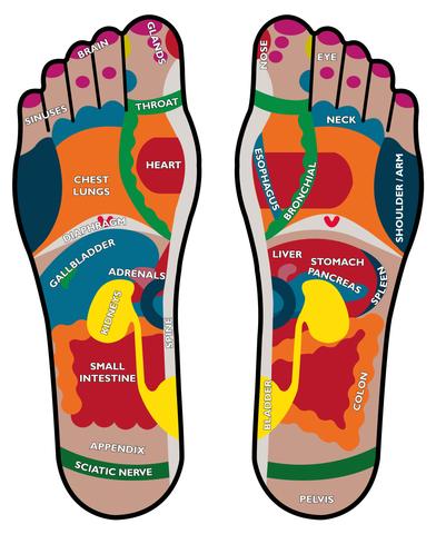 Reflexology Foot Map for the Circulation Maxx Reflexology Device