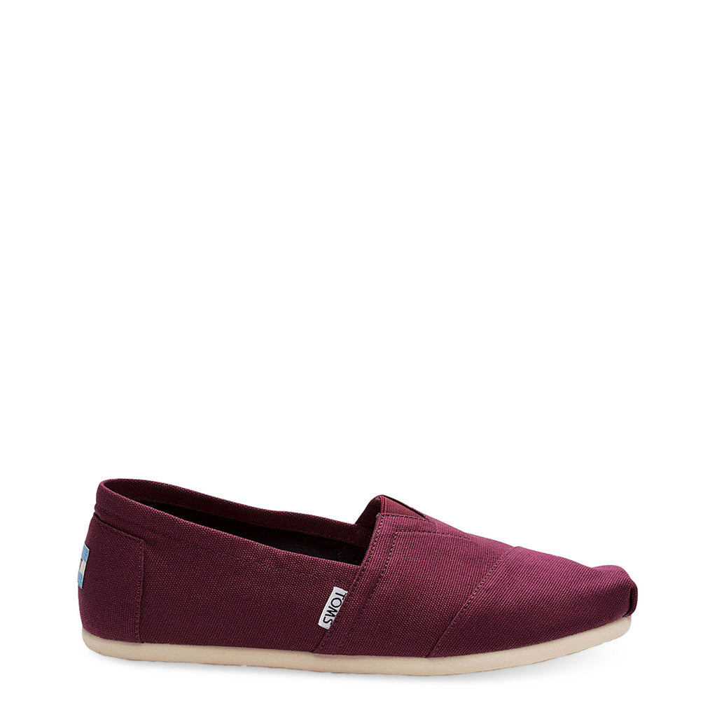 TOMS - CANVAS-ALPR-ESP_10006564