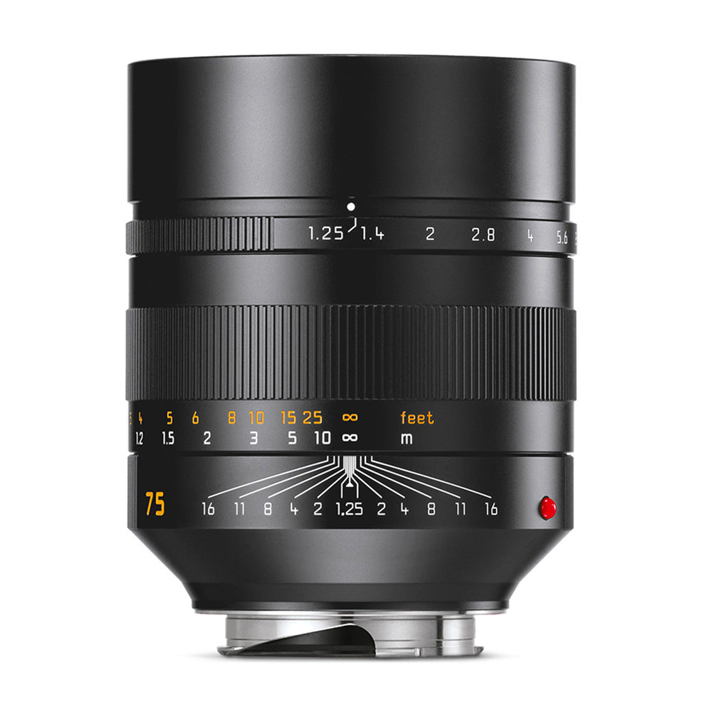 Image of Leica Noctilux-M 75mm f/1.25 ASPH