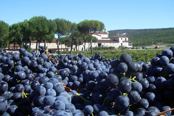 Bodegas Arzuaga Navarro