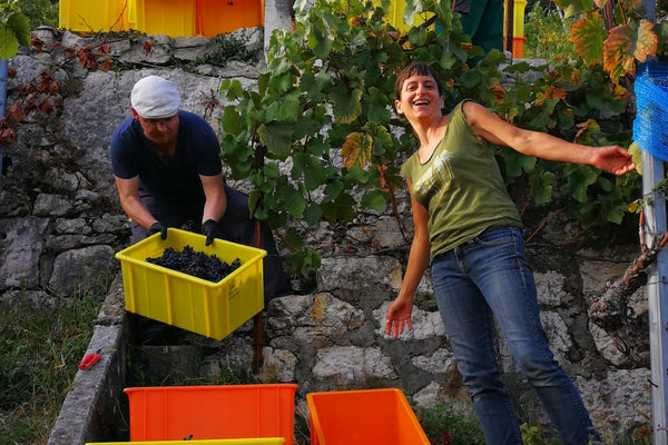 Engel Keller-Viticulteurs aus Twann am schönen Bielersee