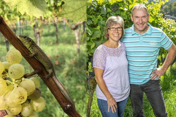 Weingut Gehring aus Freienstein im Kanton Zürich.