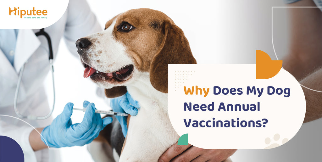 do dogs really need yearly vaccinations