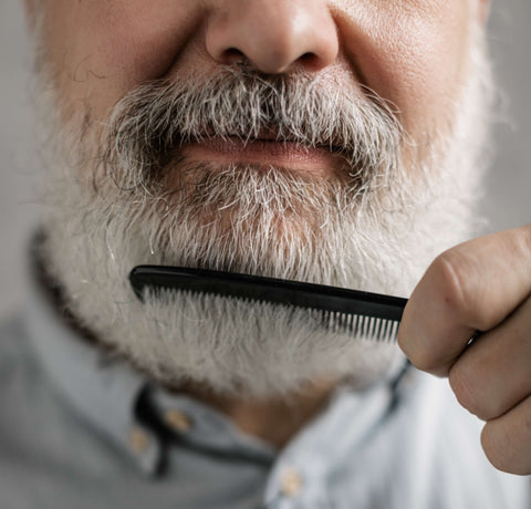 Homme à la barbe blanche