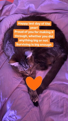 Grey cat curled up with an orange heart on its paws.  Text over top reads: "Happy last day of the year! Proud of you for making it through, whether you did anything big or not. Surviving is big enough."